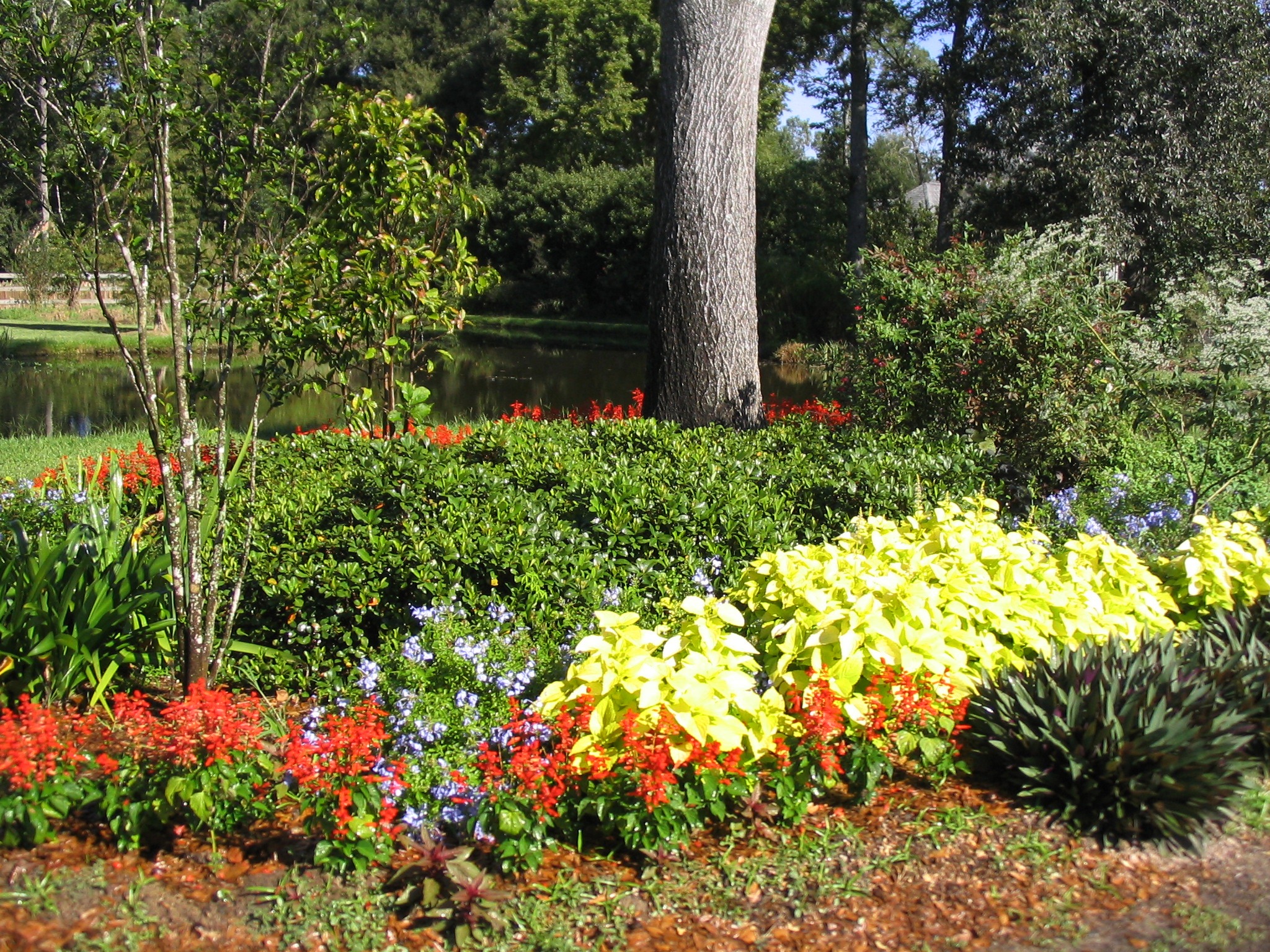 Summer is a good time for landscape planning 